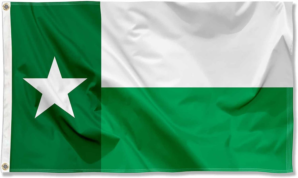 North Texas Mean Green UNT Texas State Flag