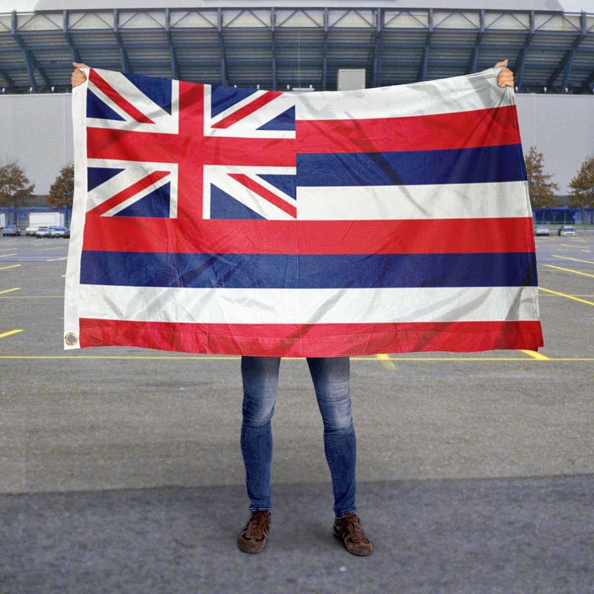 State of Hawaii Flag 3X5 Foot Banner