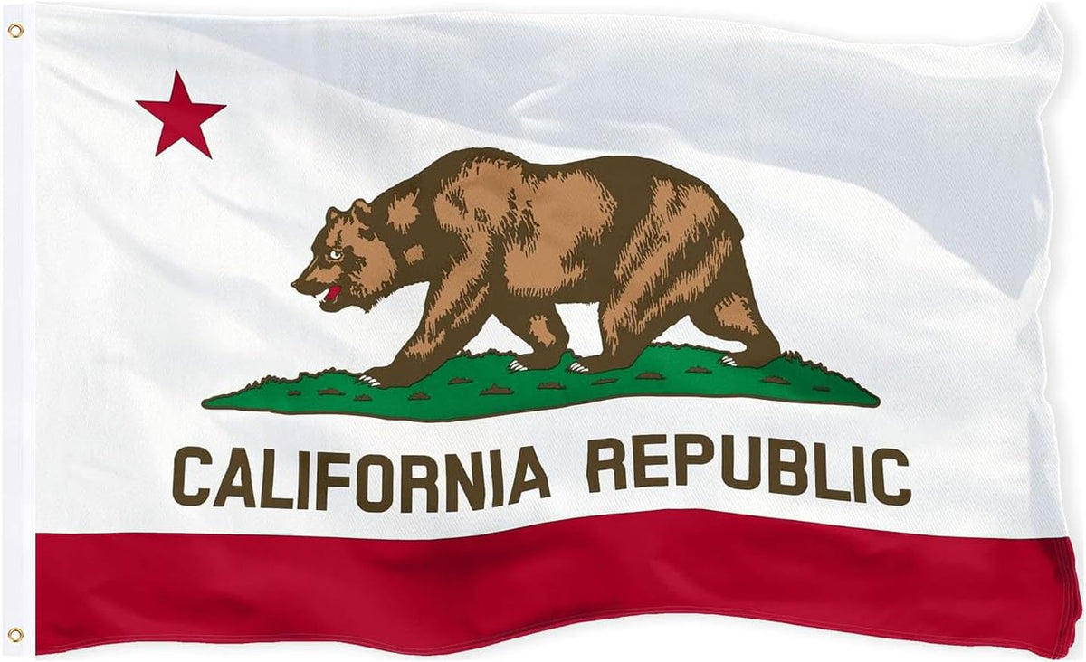 California Flag 3X5 Outdoor Double Sided Heavy Duty Durable 3 Ply California State Flags Banner with 2 Grommets