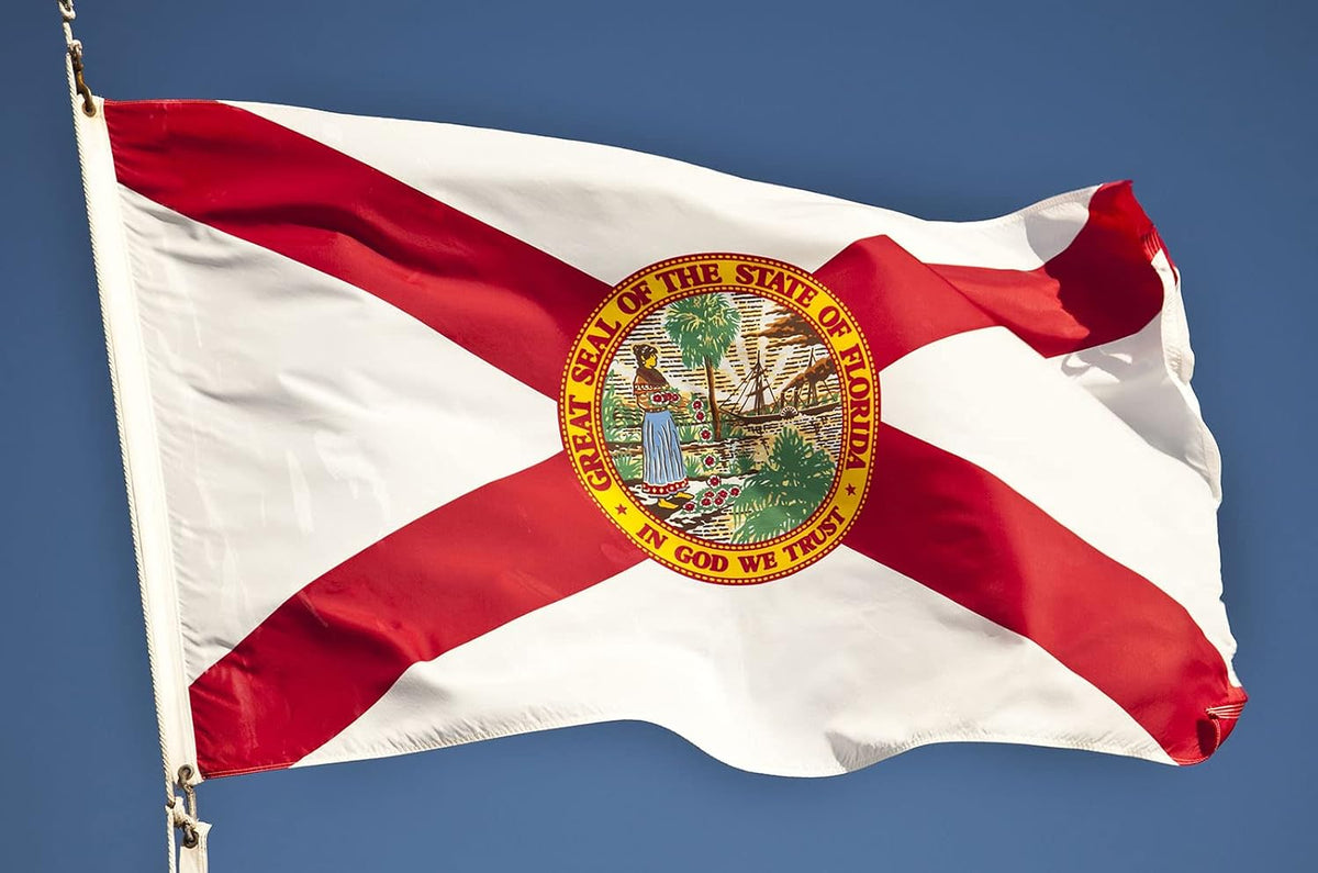 Florida Flag 3X5 Outdoor Double Sided Heavy Duty Durable 3 Ply Florida State Flags Banner with 2 Grommets