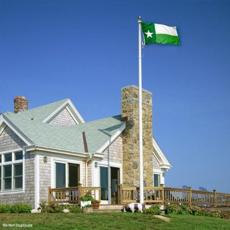 North Texas Mean Green UNT Texas State Flag