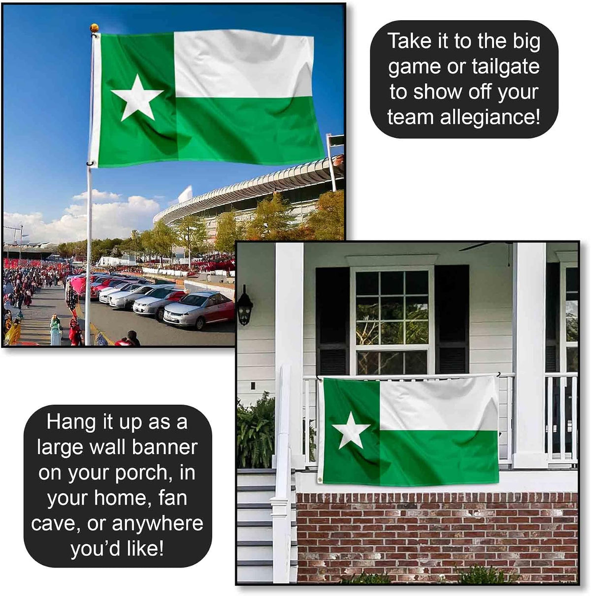 North Texas Mean Green UNT Texas State Flag
